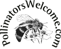 Pollinators Welcome